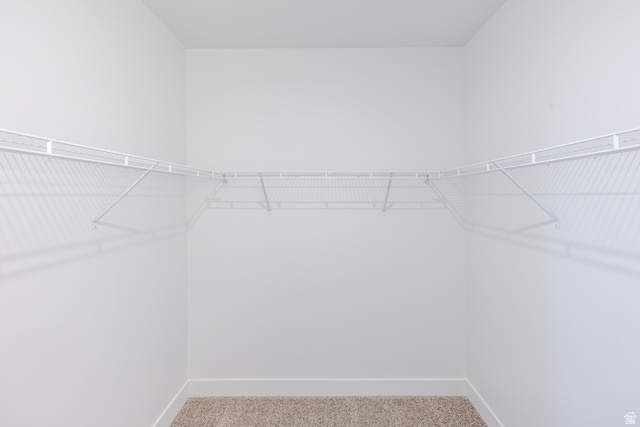 675 West 4500th South, Unit P302 Mapleton, UT 84664 - Photo 8 of 16 Walk-in closet with white wire shelving, white walls, and neutral-toned carpeting
