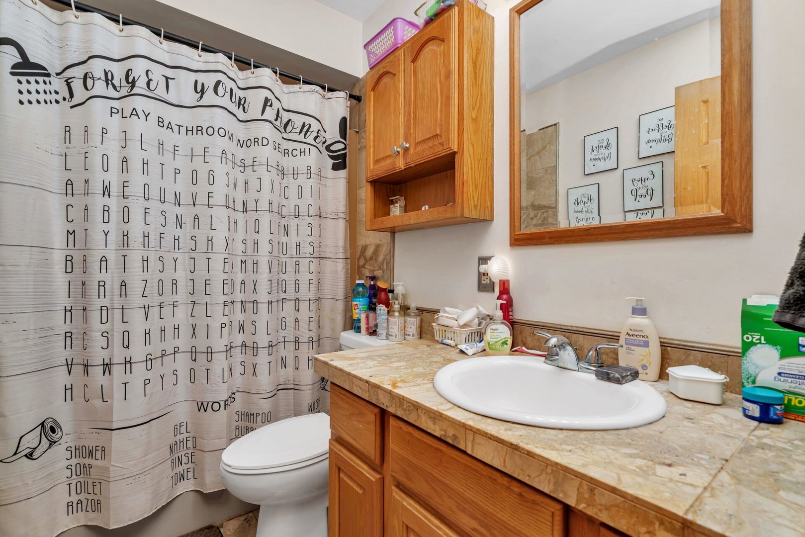 308 San Carlos Road Minooka, IL 60447 - Photo 14 of 25 a bathroom with a granite countertop toilet sink and a mirror