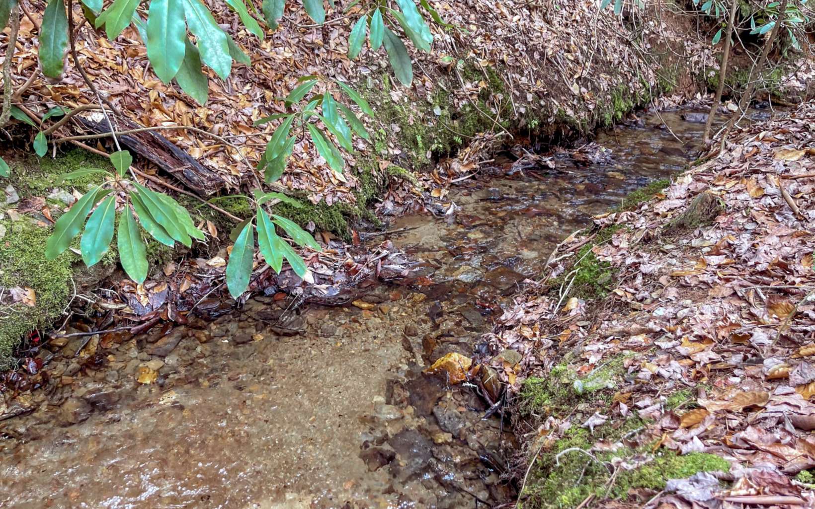 13.71 Haygood Road Mineral Bluff, GA 30559 - Photo 2 of 4 Additional View