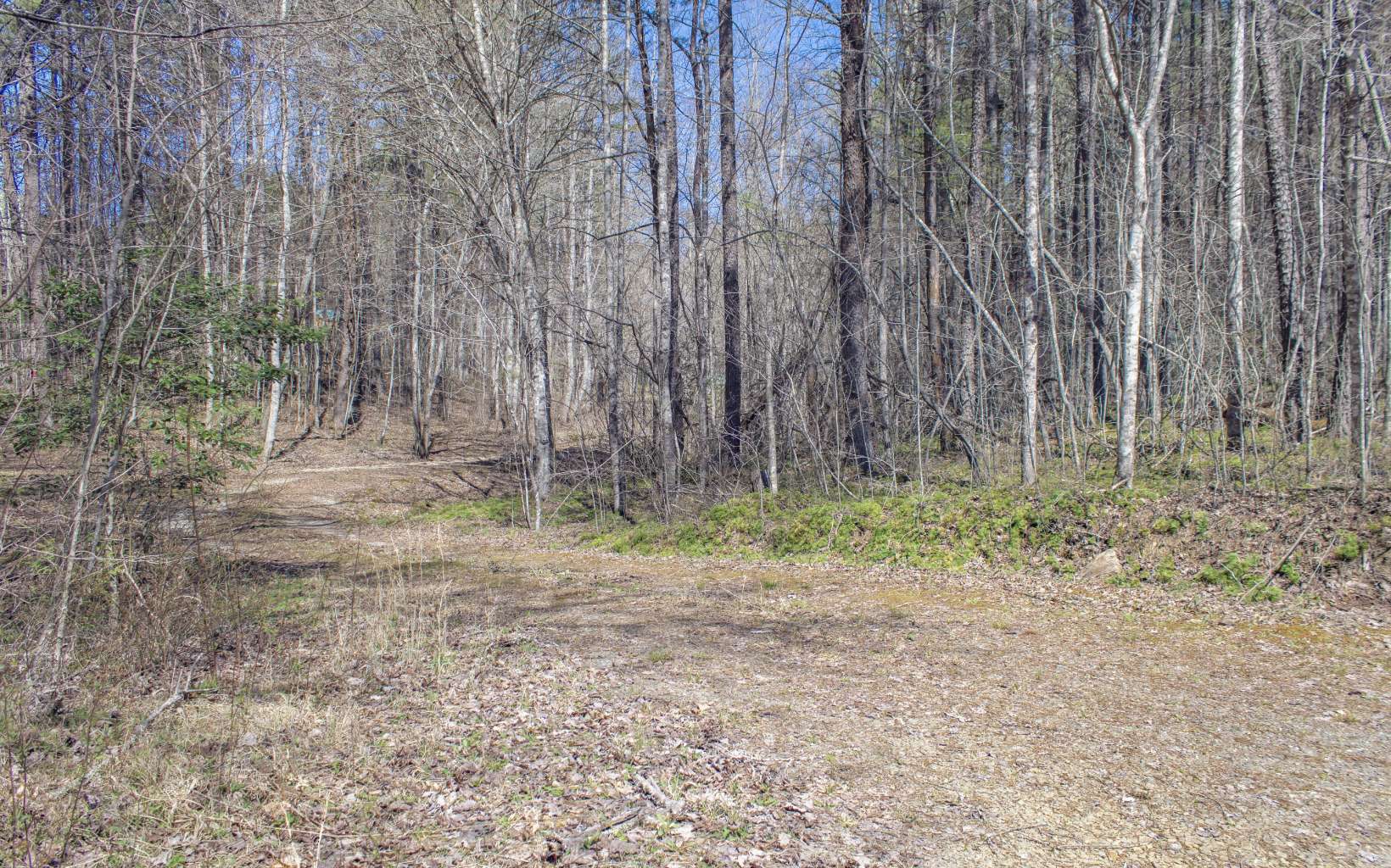 13.71 Haygood Road Mineral Bluff, GA 30559 - Photo 4 of 4 Additional View