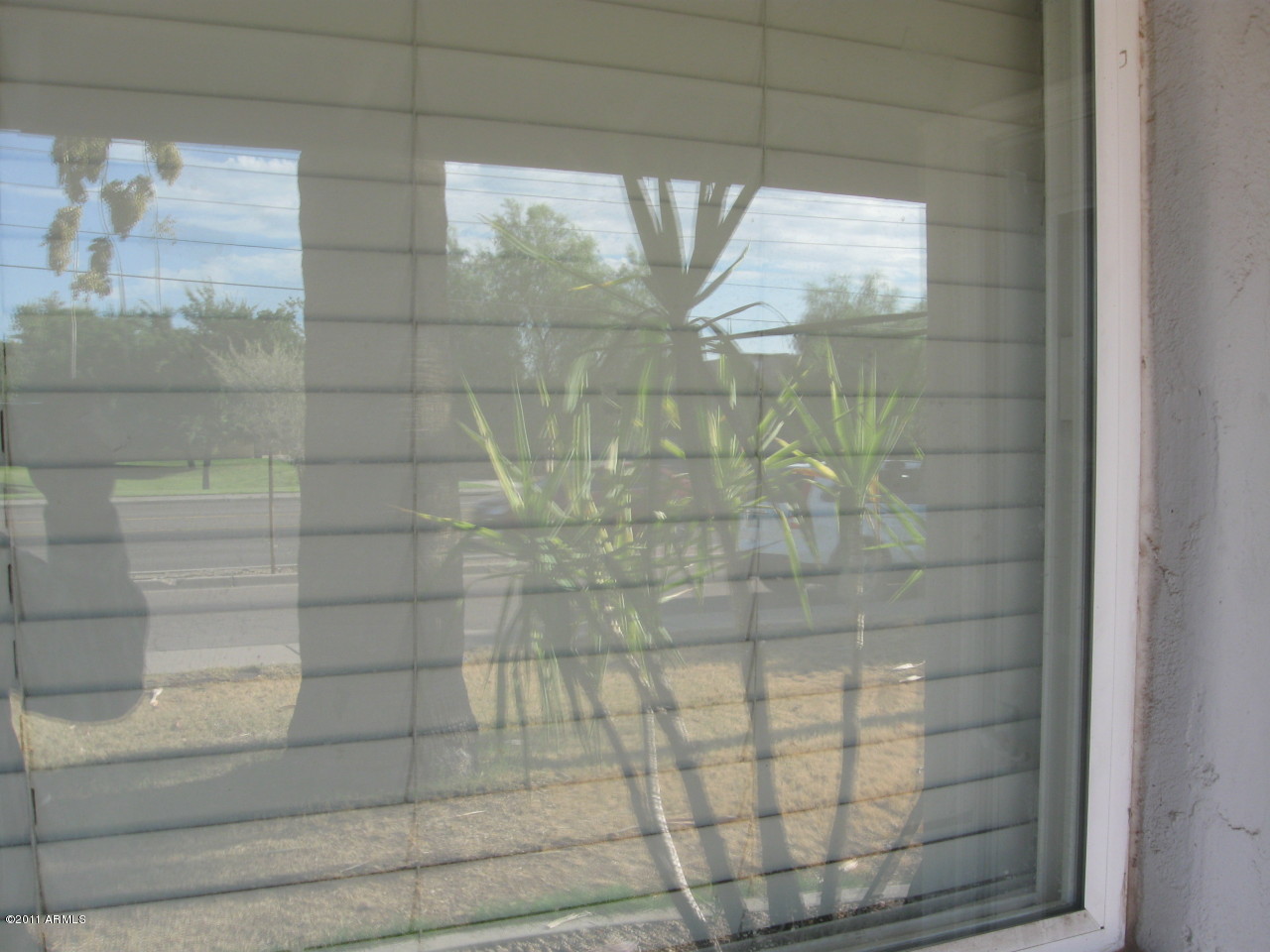 3637 West Greenway Road Phoenix, AZ 85053 - Photo 5 of 20 dual pane windows