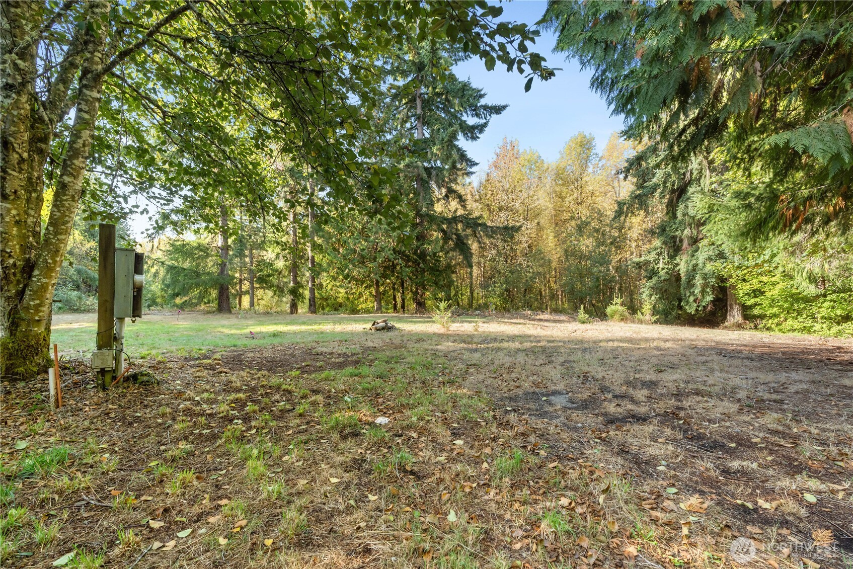 3001 104th Avenue Southwest Olympia, WA 98512 - Photo 3 of 10