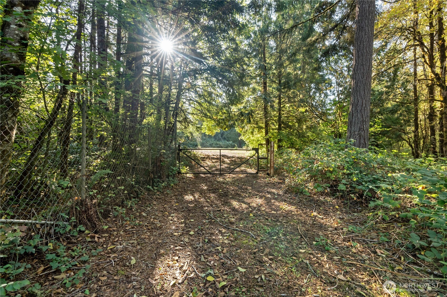 3001 104th Avenue Southwest Olympia, WA 98512 - Photo 6 of 10