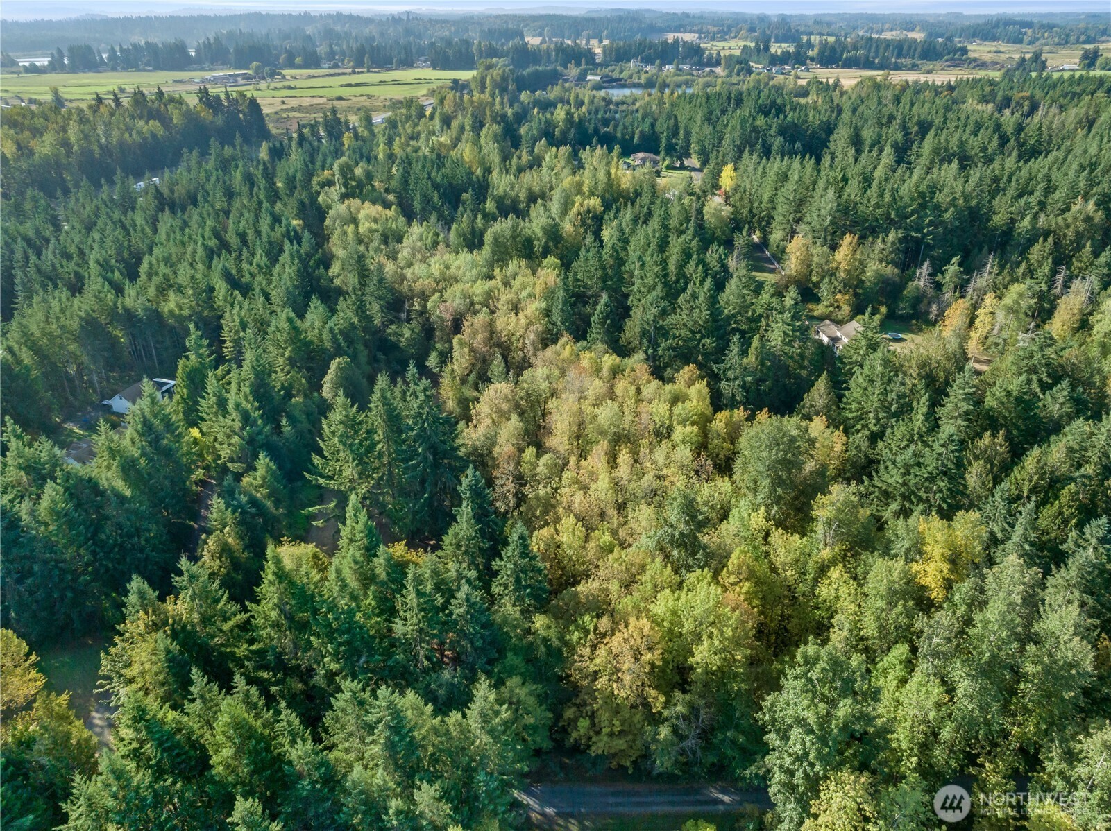 3001 104th Avenue Southwest Olympia, WA 98512 - Photo 9 of 10
