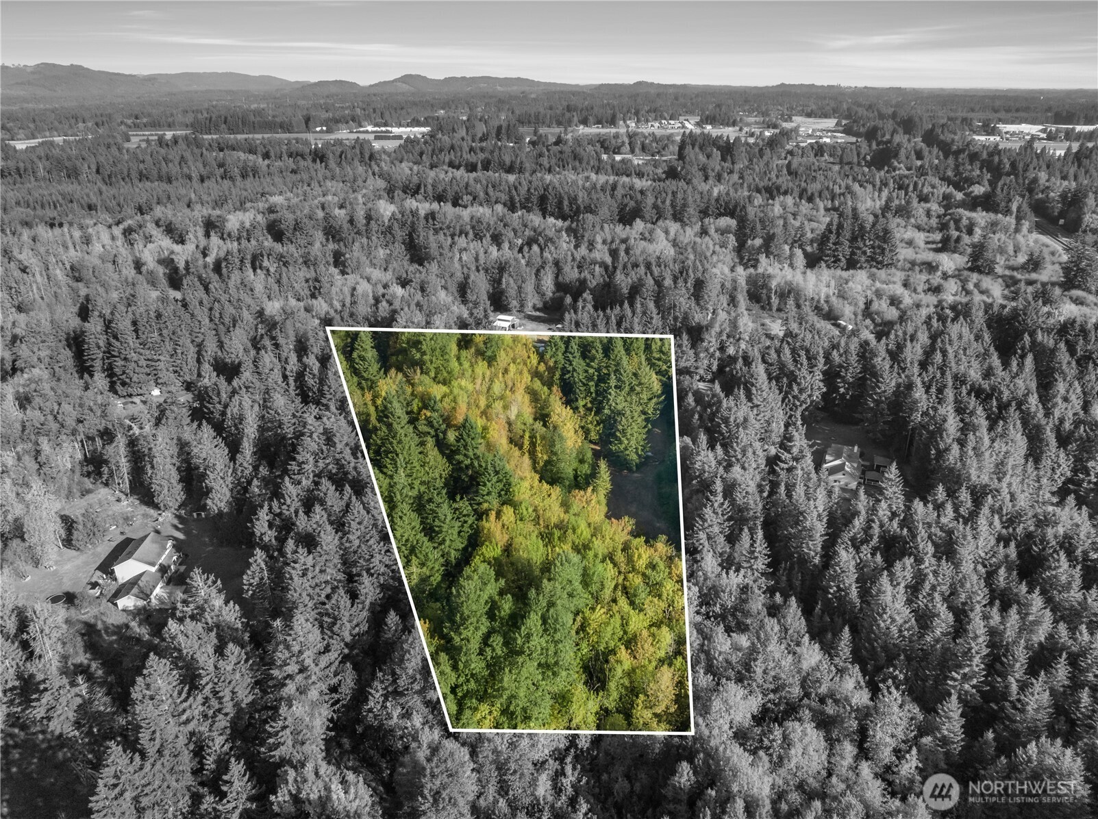 3001 104th Avenue Southwest Olympia, WA 98512 - Photo 10 of 10