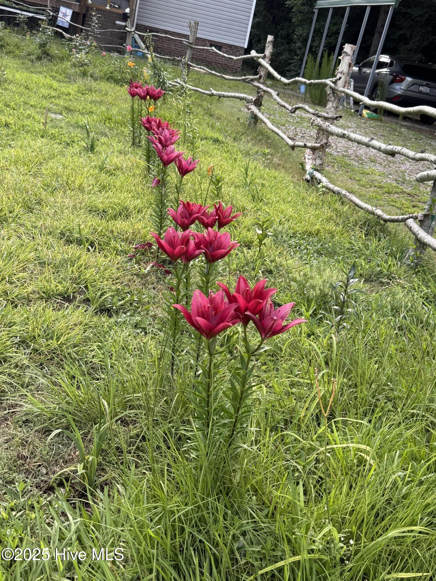 6434 Perry Road Lucama, NC 27851 - Photo 19 of 40 IMG_3839