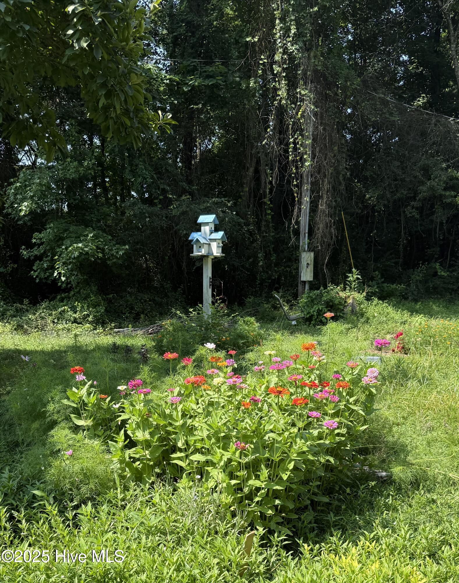 6434 Perry Road Lucama, NC 27851 - Photo 22 of 40 IMG_3951