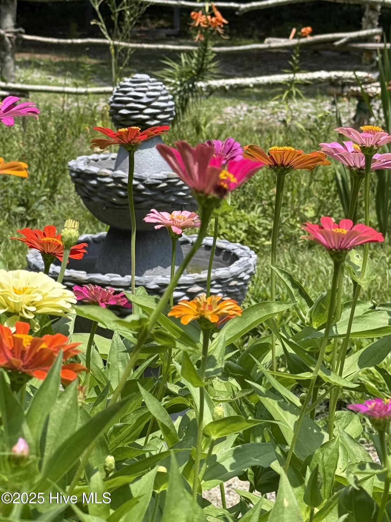 6434 Perry Road Lucama, NC 27851 - Photo 24 of 40 IMG_3964