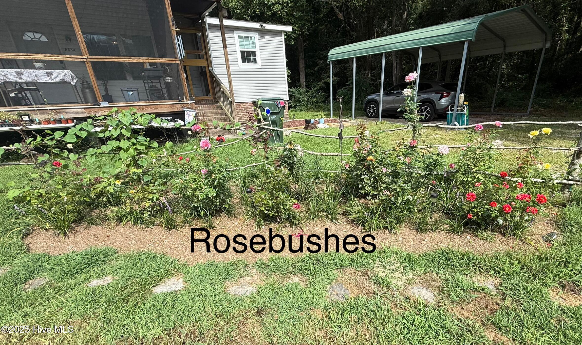 6434 Perry Road Lucama, NC 27851 - Photo 27 of 40 IMG_4716