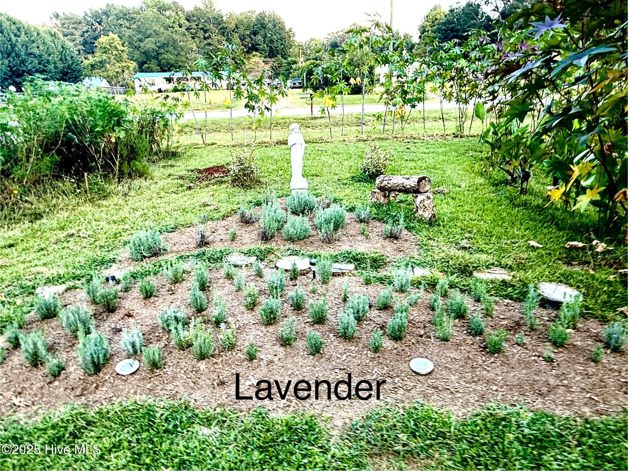 6434 Perry Road Lucama, NC 27851 - Photo 30 of 40 IMG_4861