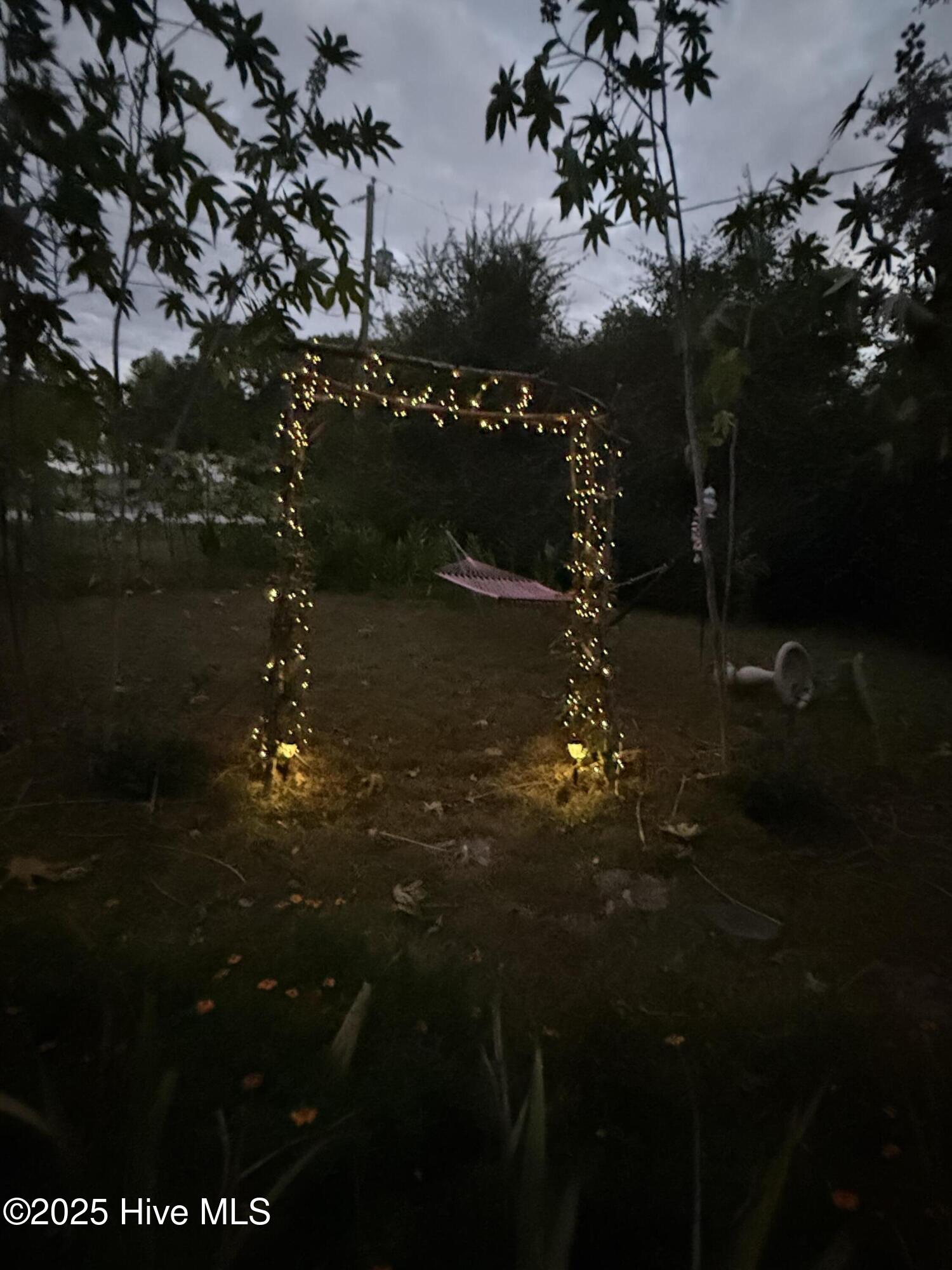 6434 Perry Road Lucama, NC 27851 - Photo 34 of 40 IMG_5394