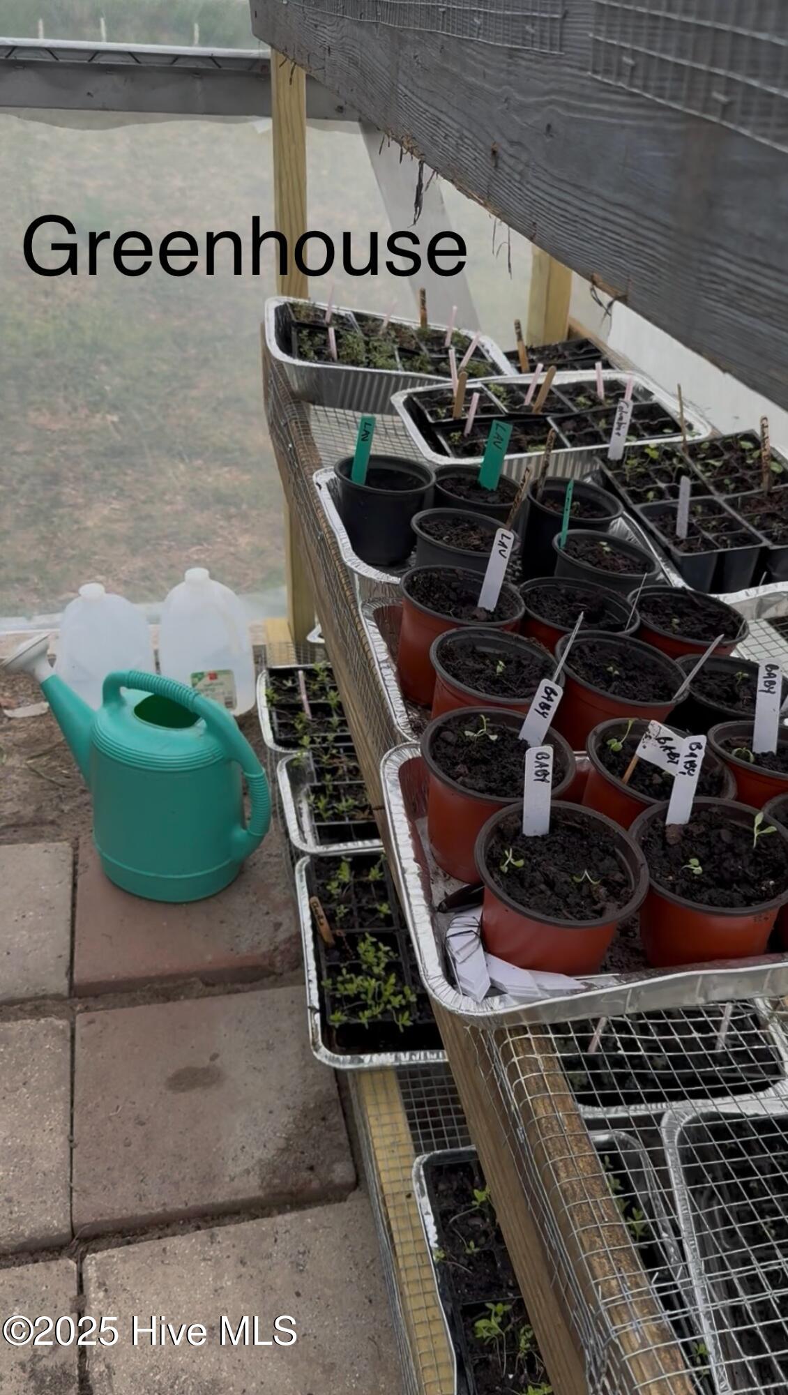 6434 Perry Road Lucama, NC 27851 - Photo 36 of 40 IMG_5860