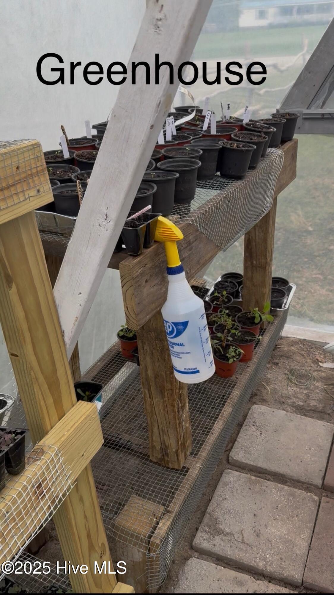 6434 Perry Road Lucama, NC 27851 - Photo 37 of 40 IMG_5861