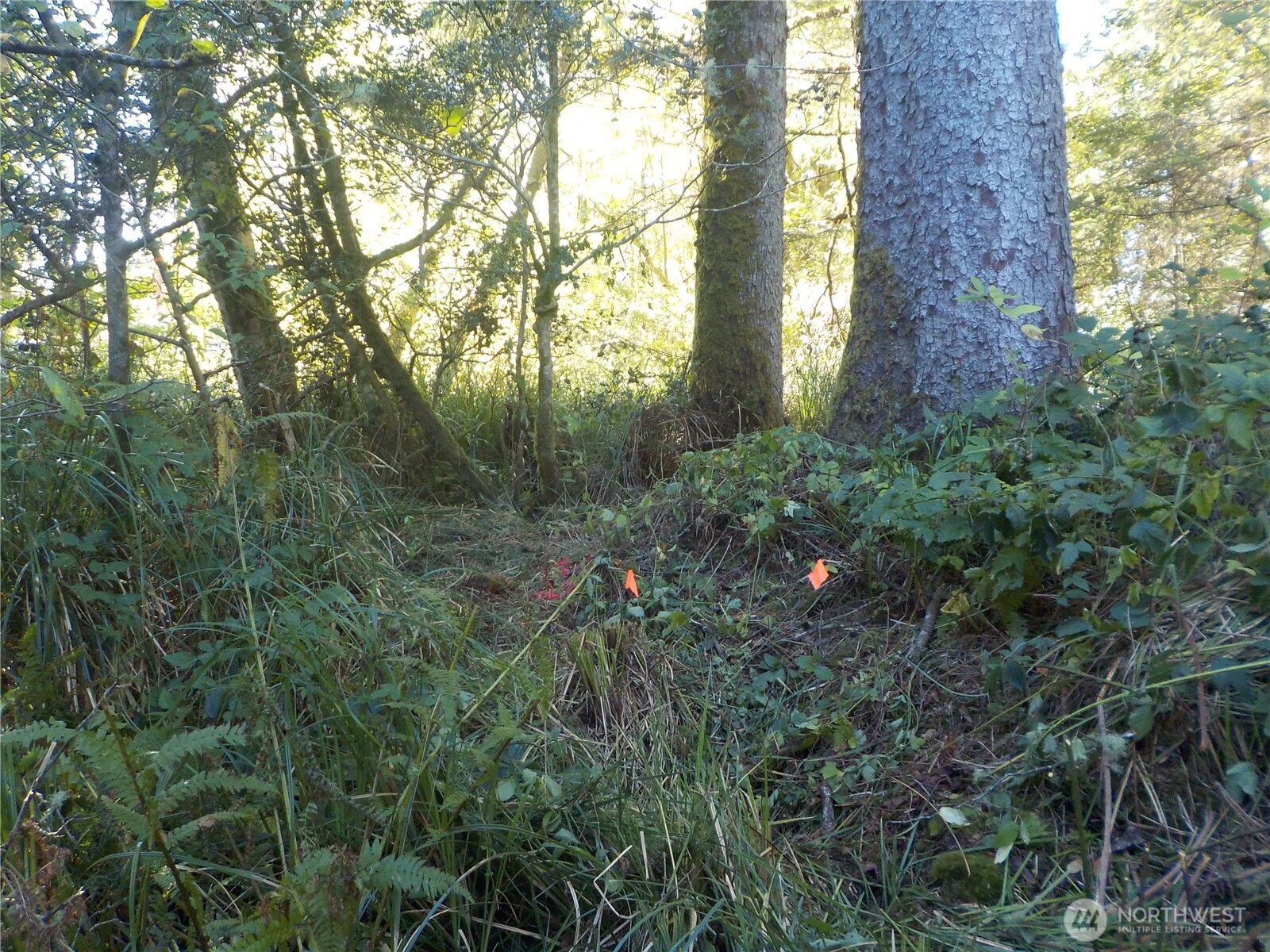 12 Third Street Chinook, WA 98614 - Photo 15 of 23