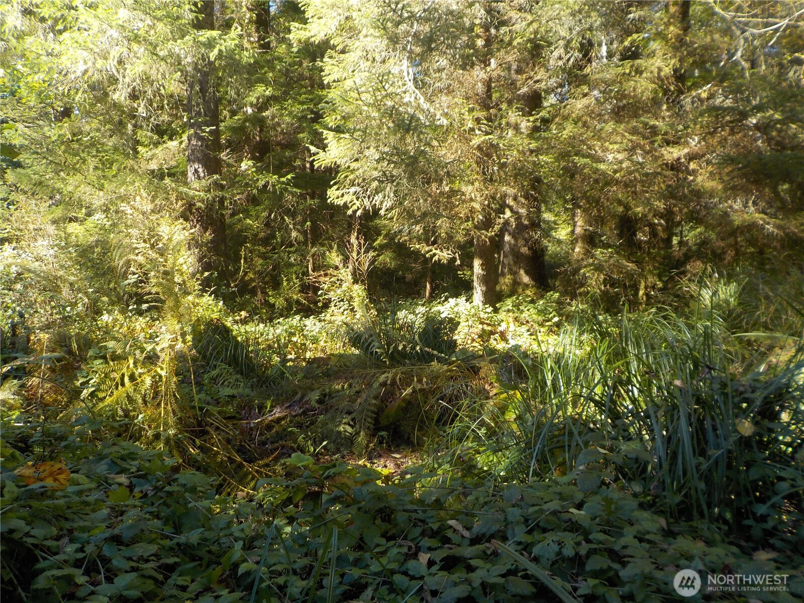 12 Third Street Chinook, WA 98614 - Photo 17 of 23