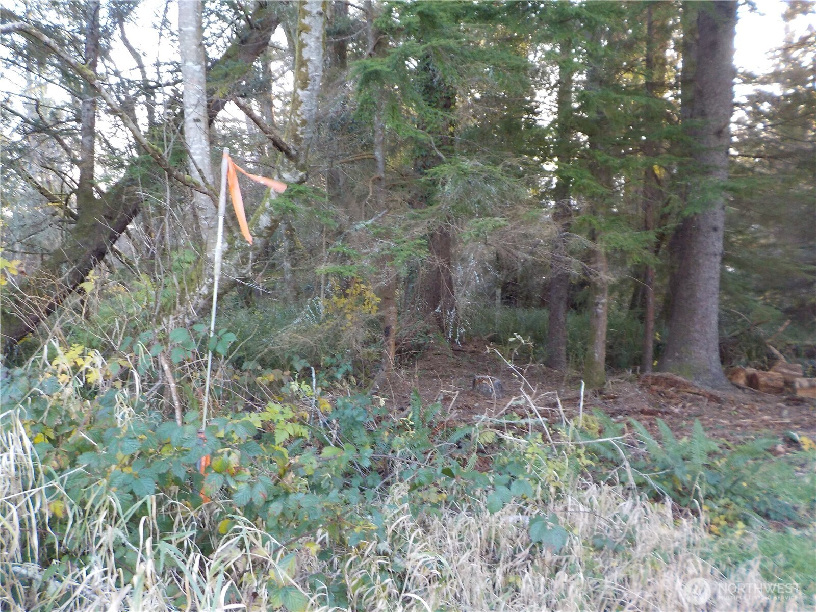 12 Third Street Chinook, WA 98614 - Photo 10 of 23