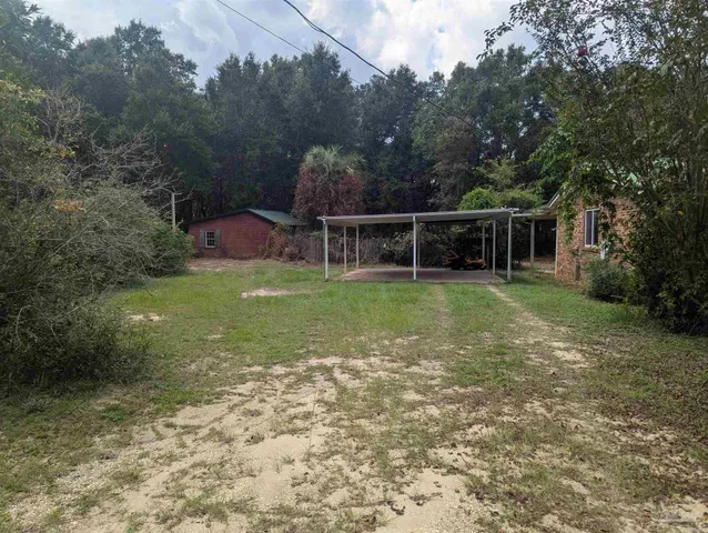 a view of a big yard with a trees