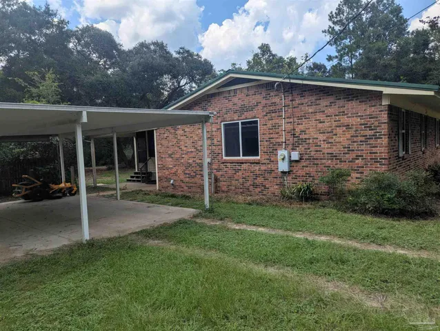a view of some trees in the forest