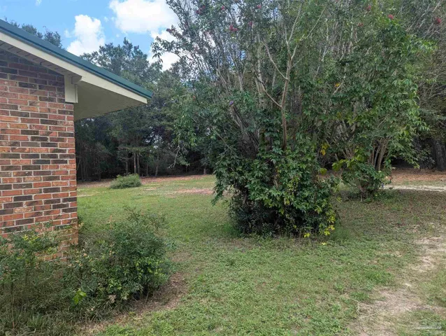 a view of a dry yard with trees