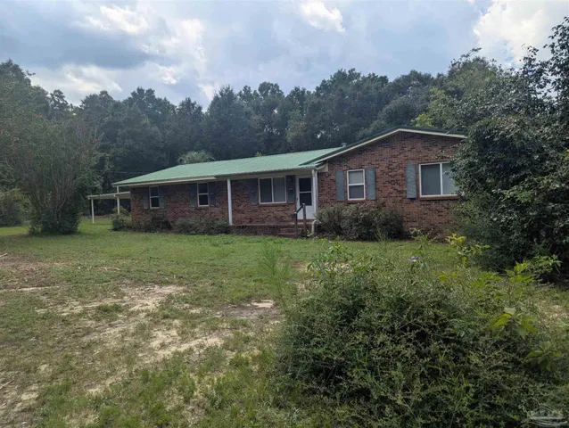 a view of a tree in the middle of a yard