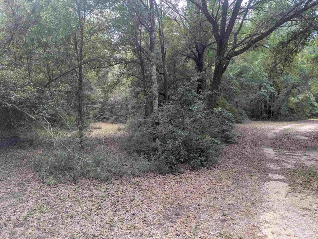 a view of a house with yard and a garden