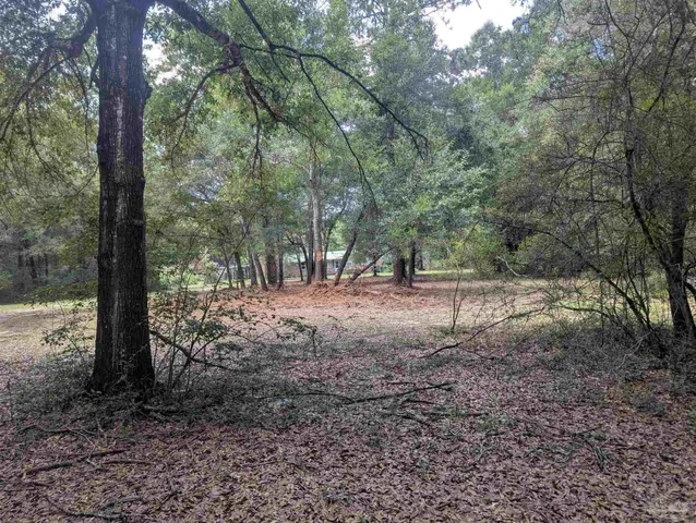 a view of outdoor space