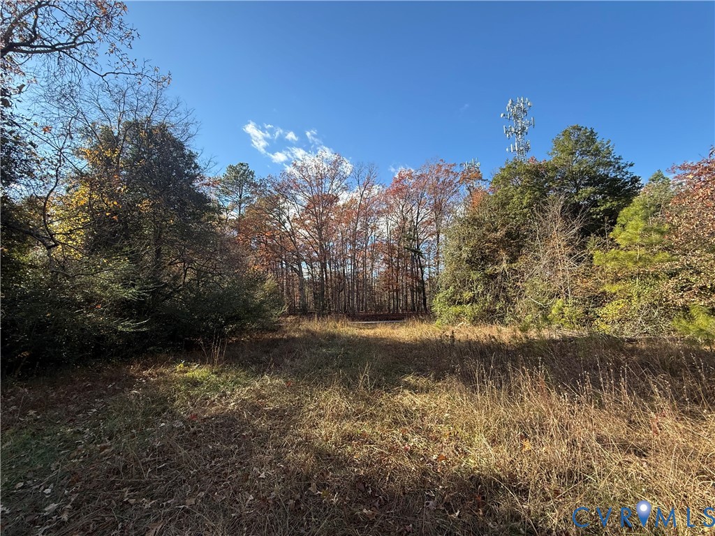 0 Binns Road Doswell, VA 23047 - Photo 8 of 10 Gallery Image 8