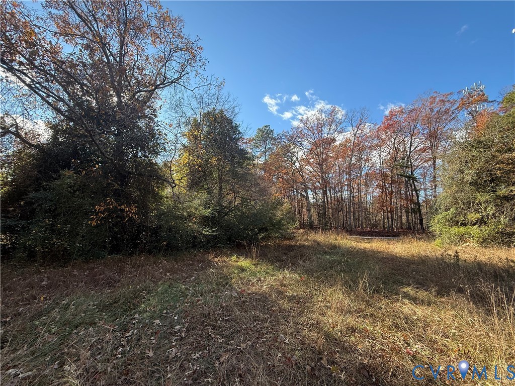 0 Binns Road Doswell, VA 23047 - Photo 9 of 10 Gallery Image 9