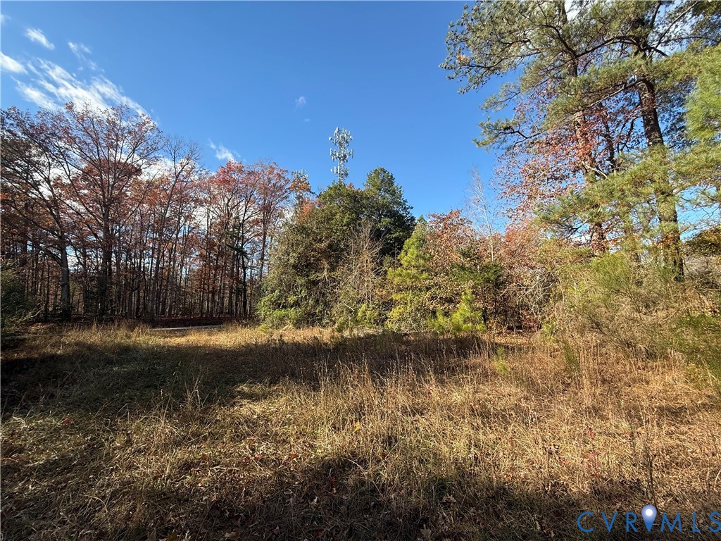 0 Binns Road Doswell, VA 23047 - Photo 10 of 10 Gallery Image 10