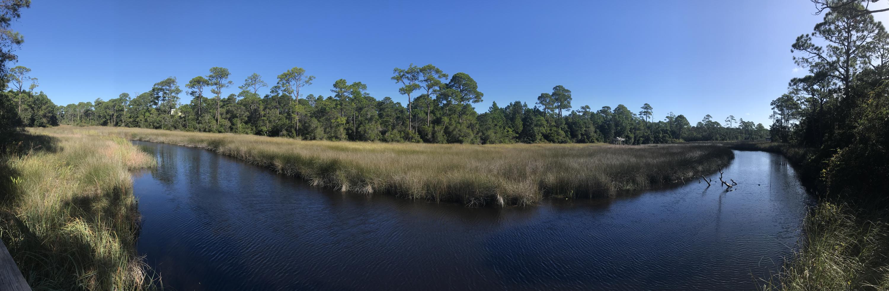 62 West Willow Mist Rd Inlet Beach Inlet Beach, FL 32461 - Photo 27 of 30 a view of a lake with outdoor space