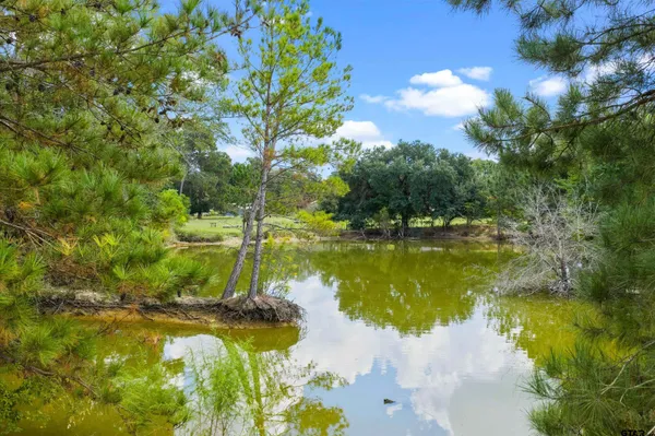 $289,900 | 413 West Henderson Tx 75654, Henderson, TX 75654