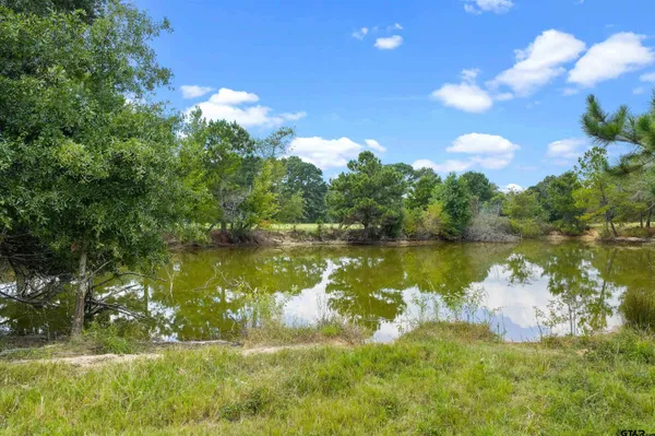 $289,900 | 413 West Henderson Tx 75654, Henderson, TX 75654