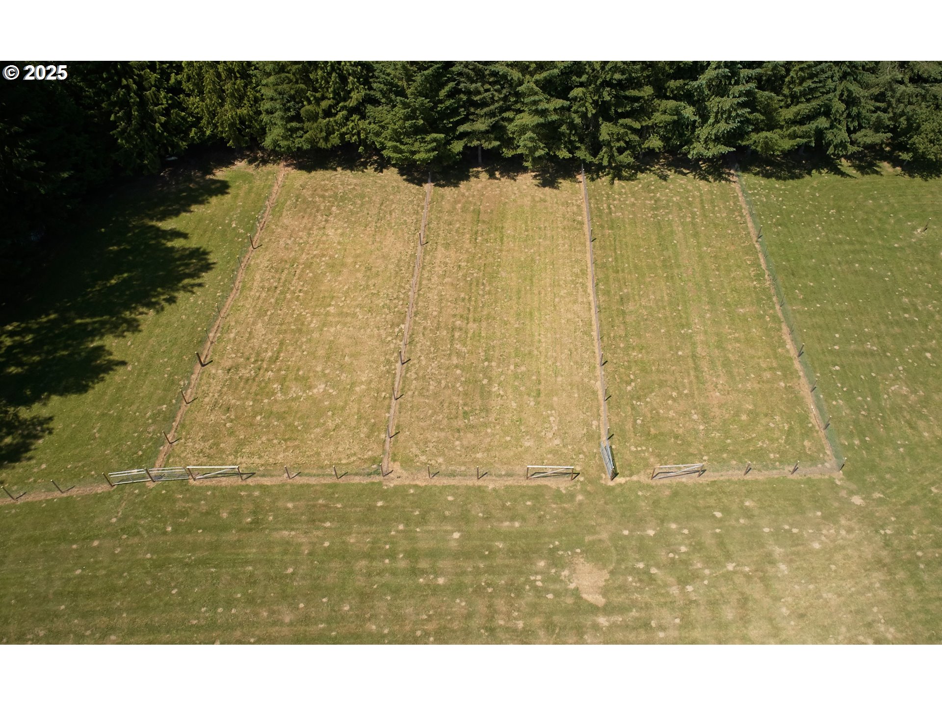 40920 Northwest Maple Ridge Road Woodland, WA 98674 - Photo 32 of 38 Pasture