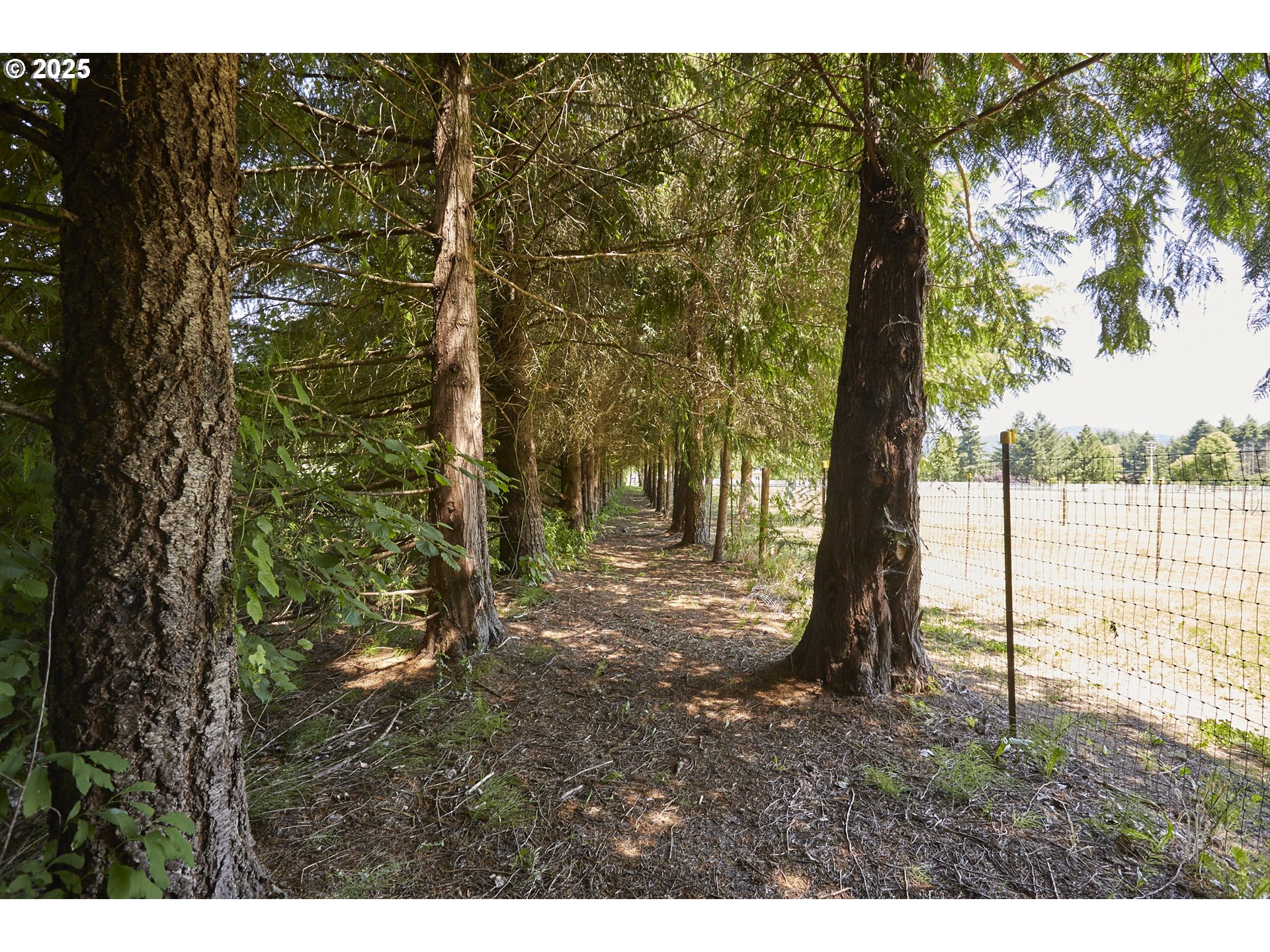 40920 Northwest Maple Ridge Road Woodland, WA 98674 - Photo 33 of 38 Corral