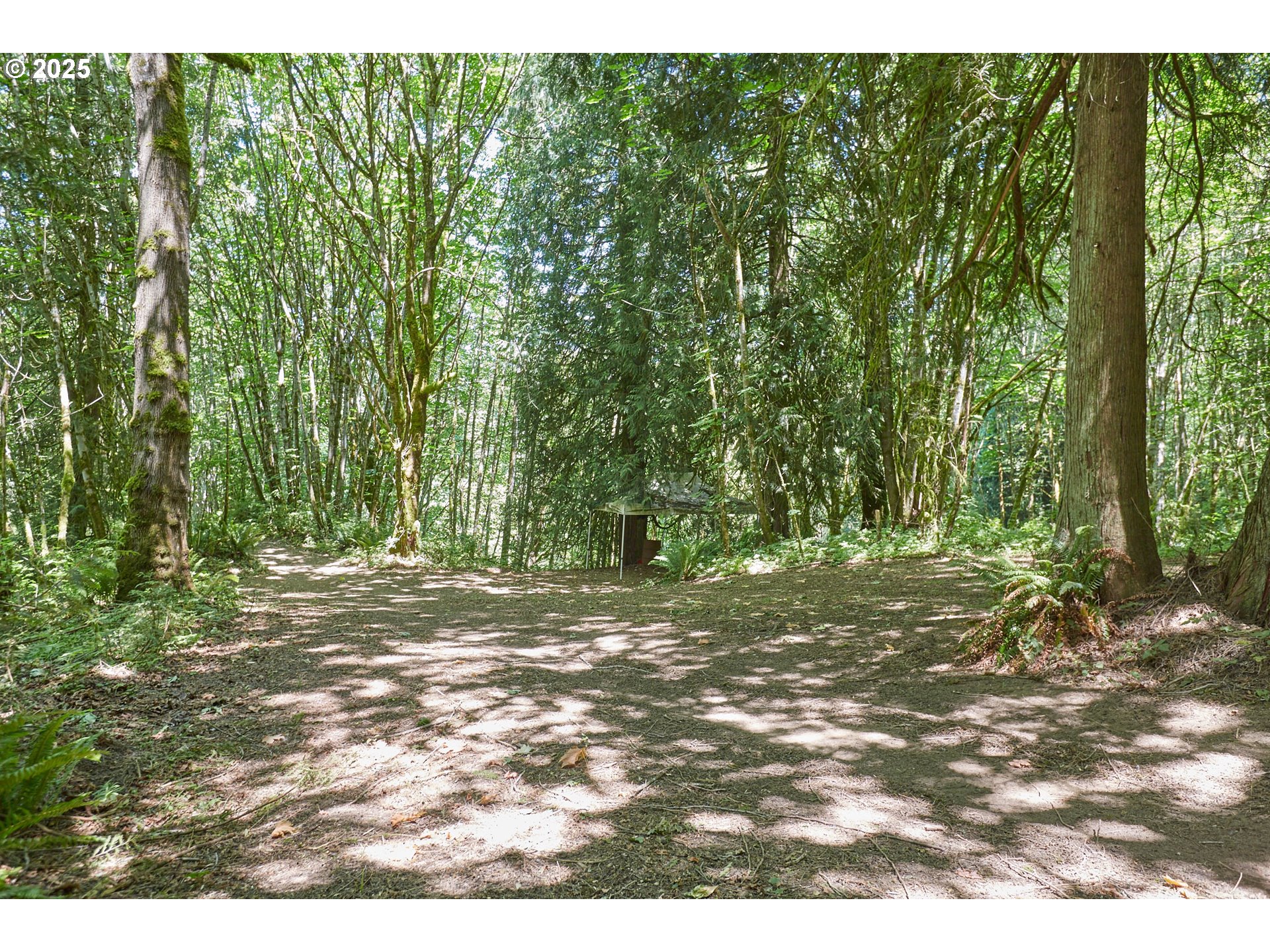 40920 Northwest Maple Ridge Road Woodland, WA 98674 - Photo 35 of 38 Fire Pit