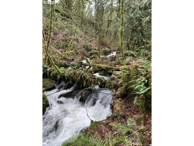 $1,499,000 | 40920 Northwest Maple Ridge Road, Woodland, WA 98674