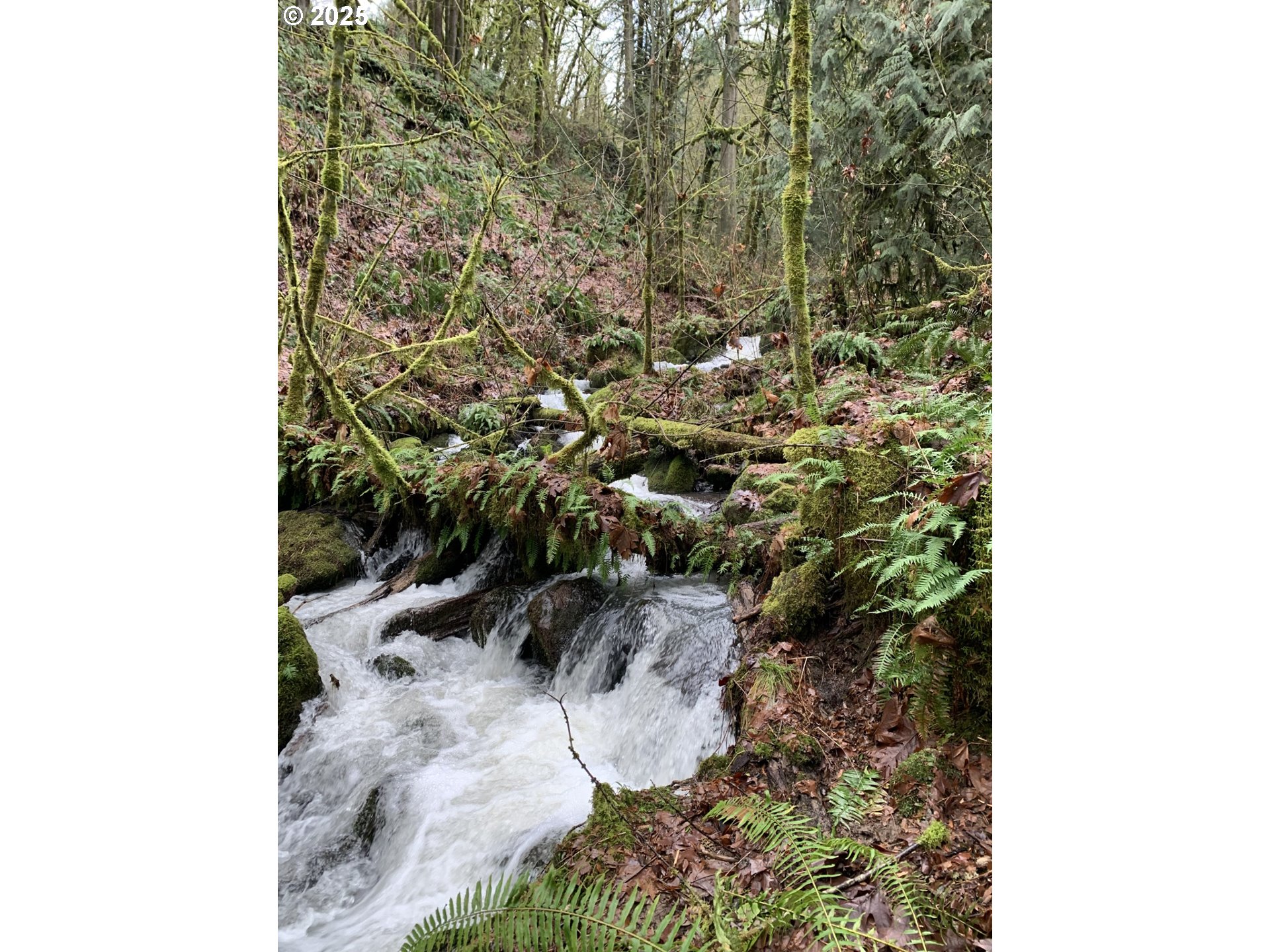 40920 Northwest Maple Ridge Road Woodland, WA 98674 - Photo 36 of 38