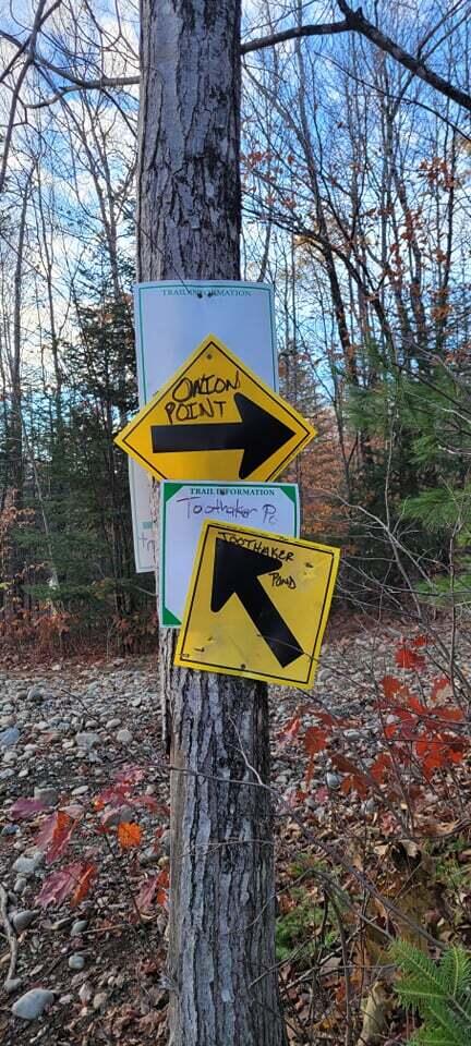 0 Reed's Mill Road Phillips, ME 04966 - Photo 13 of 15 Get outside and enjoy!