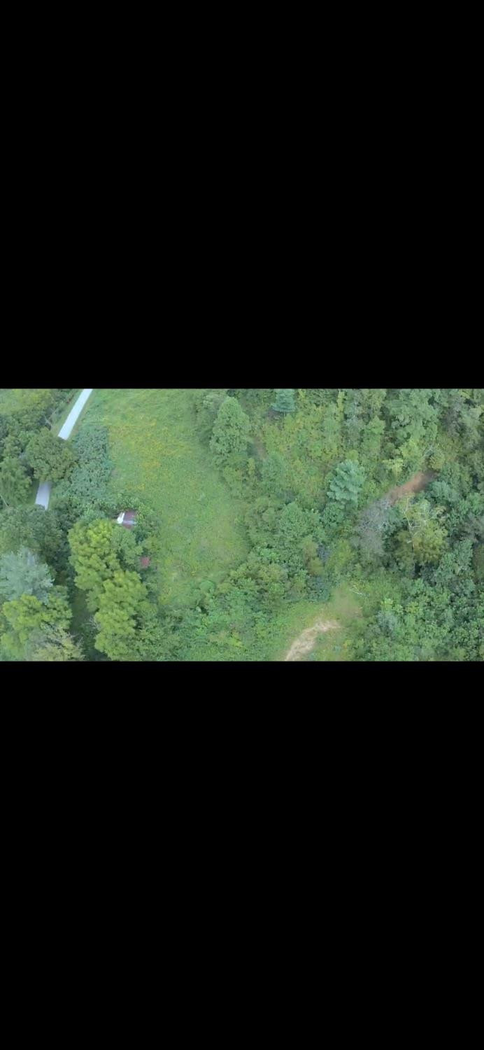 99999 Pine Lick Road Manchester, KY 40962 - Photo 3 of 6 Photo 3