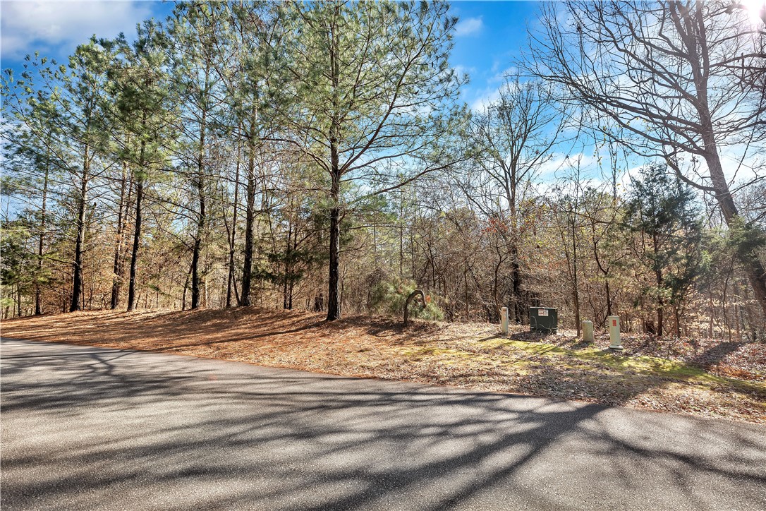 1106 Bay Drive Fair Play, SC 29643 - Photo 2 of 7 Mature trees line this tranquil, undeveloped lot with paved road access.