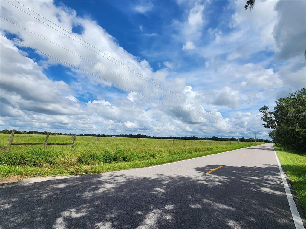 Gough Road Ona, FL 33865 - Photo 4 of 6