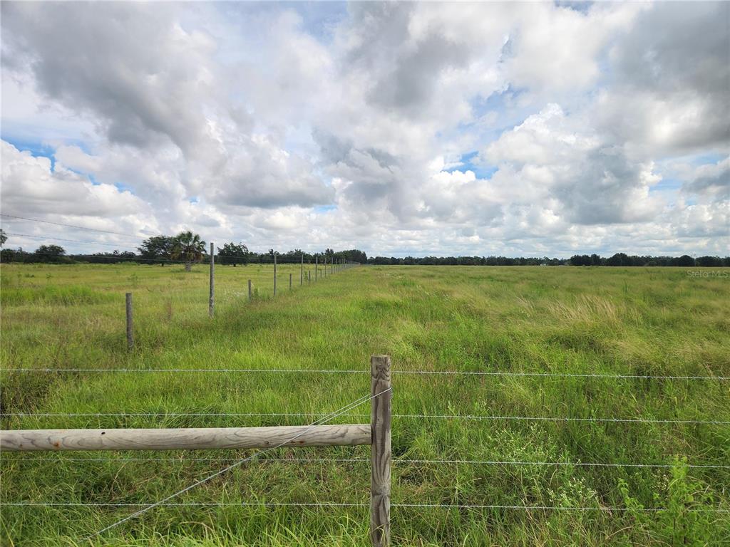 Gough Road Ona, FL 33865 - Photo 5 of 6