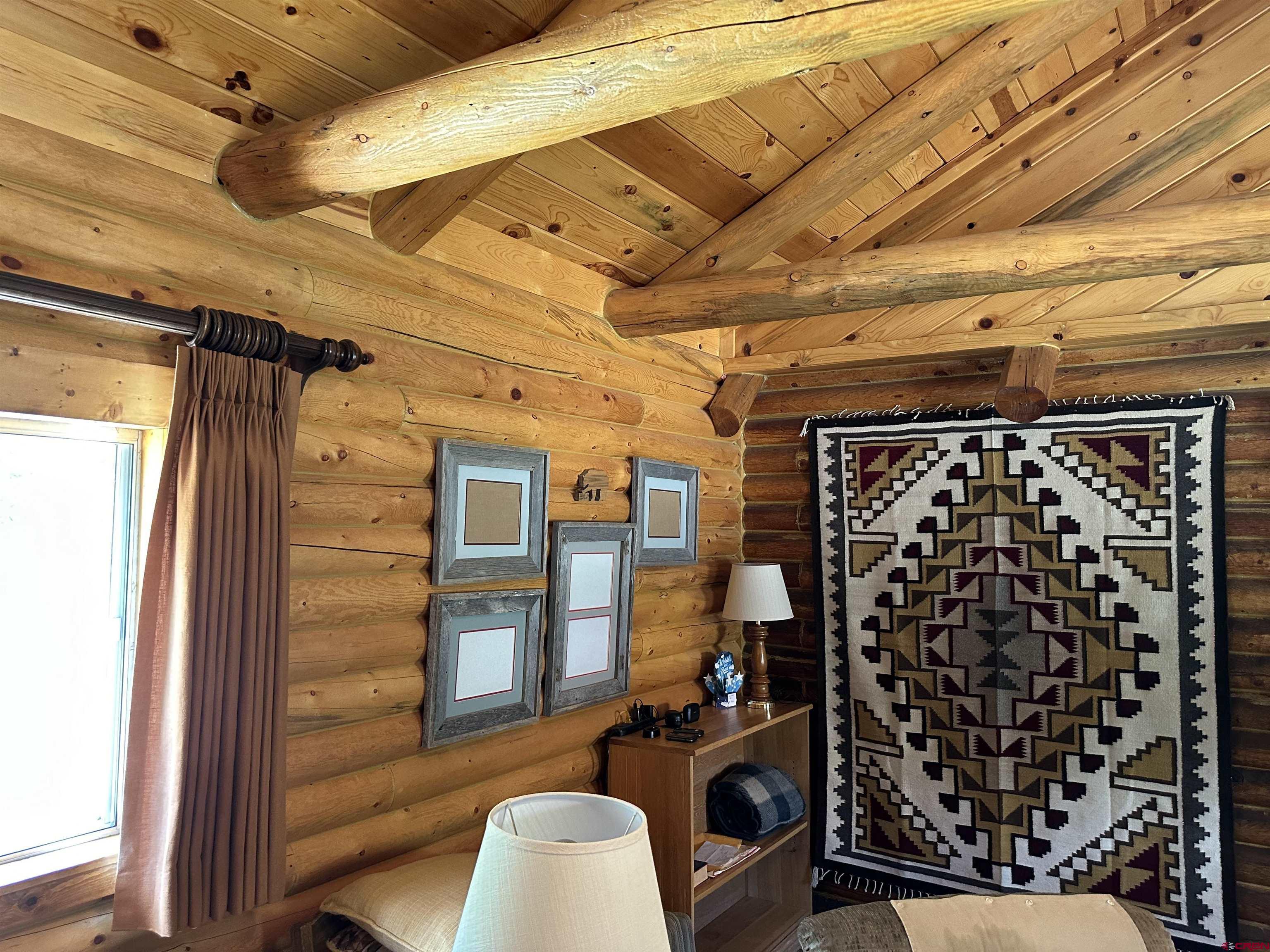 12350 Castle Rock Road Del Norte, CO 81132 - Photo 20 of 32