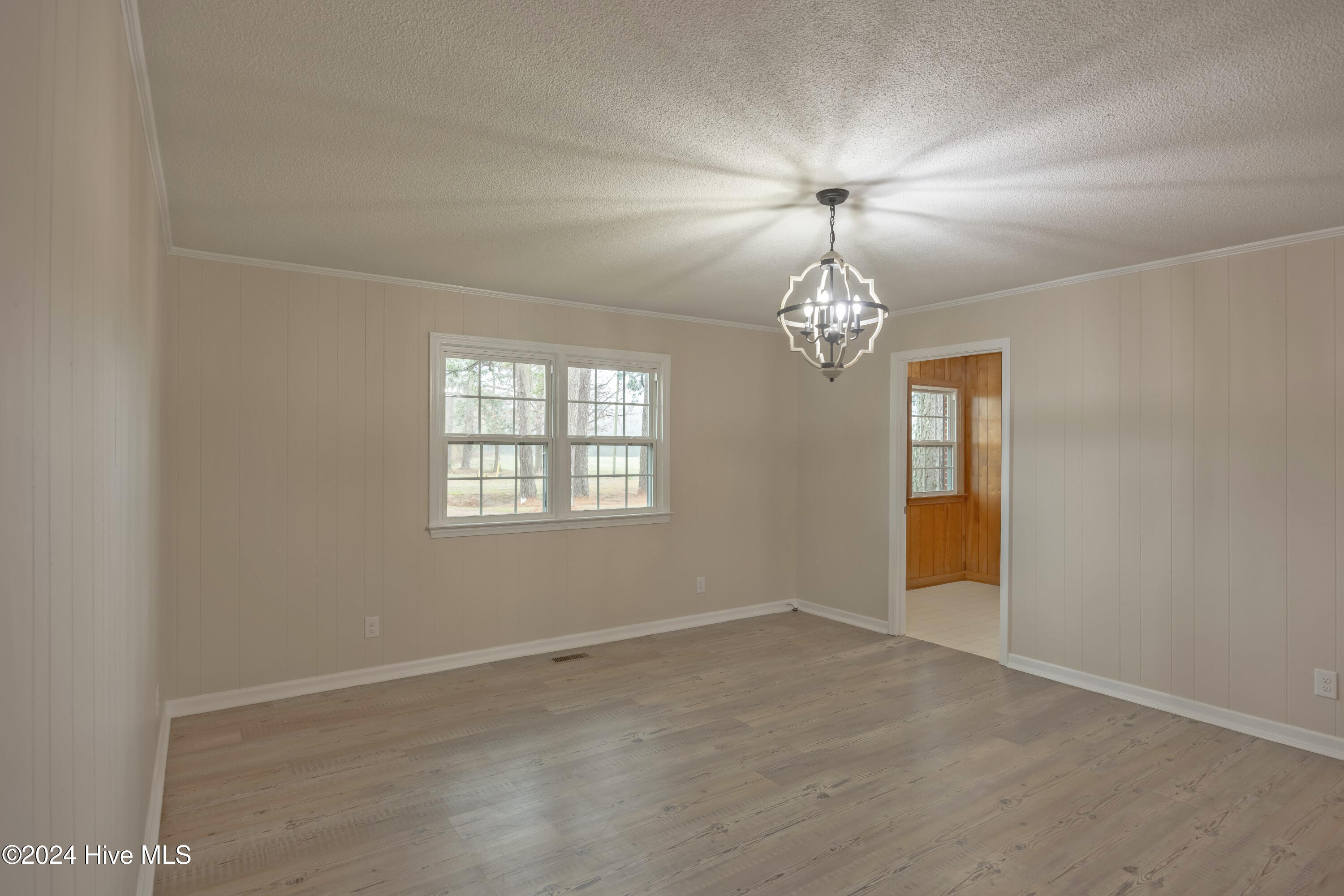 1154 Old Chinquapin Road Beulaville, NC 28518 - Photo 13 of 45 _K6A0621-HDR (Custom)
