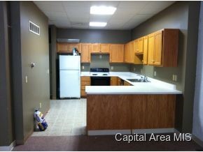 1149 West Governor Street Springfield, IL 62704 - Photo 2 of 3 Gallery Image 2