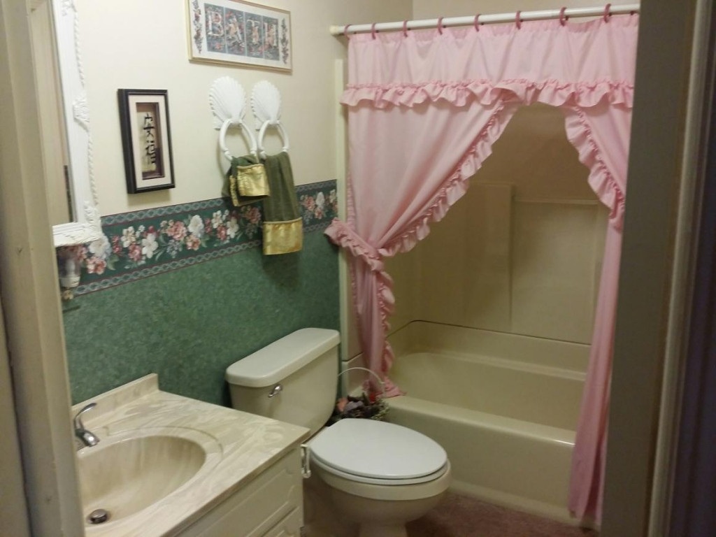 5736 Powell Valley Road Big Stone Gap, VA 24219 - Photo 15 of 24 Hall Bath