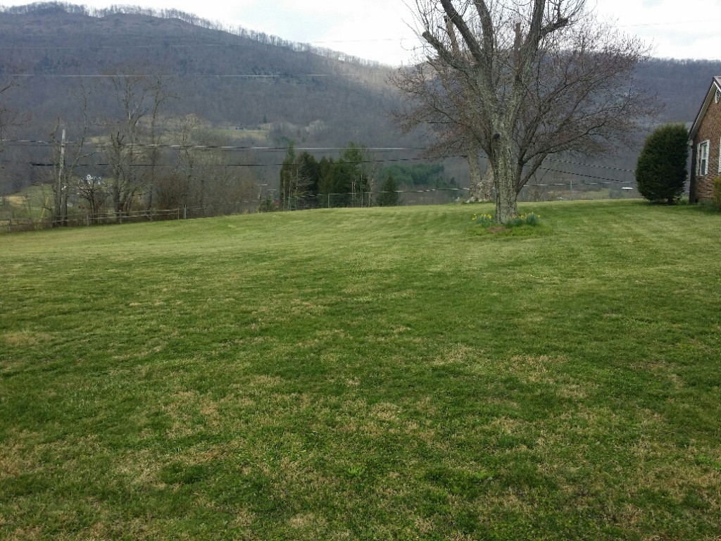 5736 Powell Valley Road Big Stone Gap, VA 24219 - Photo 21 of 24 Front Yard