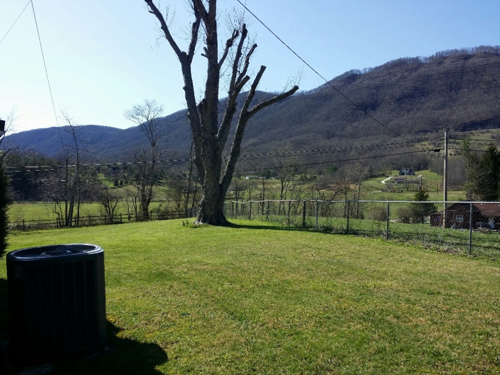 5736 Powell Valley Road Big Stone Gap, VA 24219 - Photo 23 of 24 Mature trees for shade