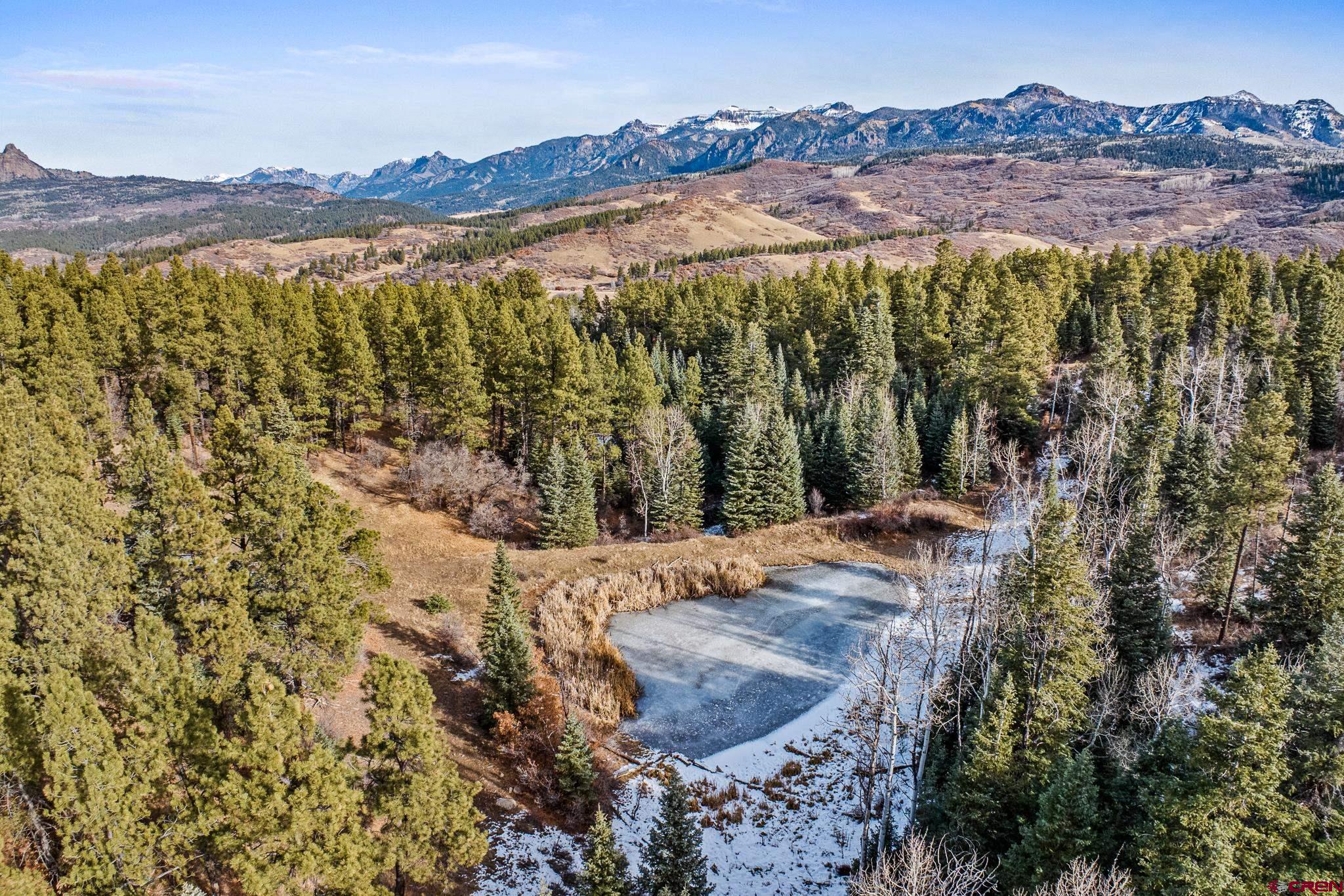 Tbd Tbd Albert Place Chromo, CO 81128 - Photo 13 of 31 a view of a forest with mountains in the background