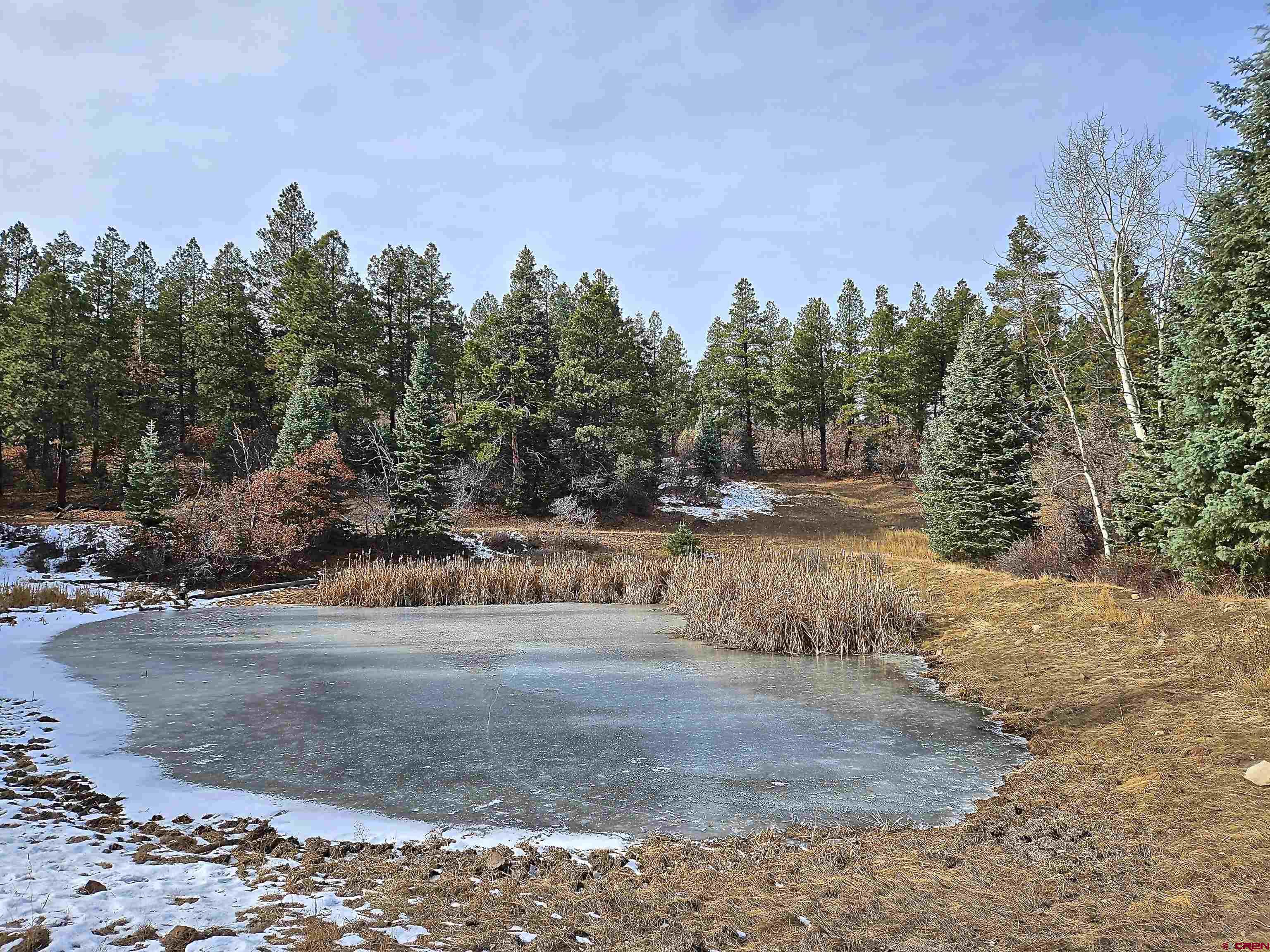 Tbd Tbd Albert Place Chromo, CO 81128 - Photo 14 of 31 a view of a yard with a tree